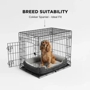 A breed suitability guide featuring a medium-sized dog sitting comfortably in a 30 inch dog crate to demonstrate correct sizing and head clearance.