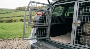 Illustration of an emergency rear escape door on a car dog crate, a vital safety feature for UK road accidents where the tailgate may be jammed.