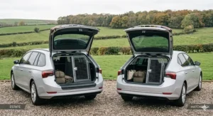 Illustration comparing the vertical boot space and roofline of the Skoda Octavia Estate versus the Hatchback for large dog crate compatibility.