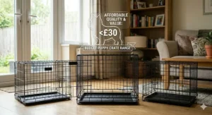 A selection of three different cheap puppy crates priced under £30, featuring single and double-door metal designs.