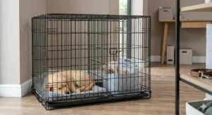 adjustable-dog-crate-modern-interior