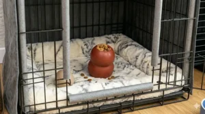 Natural rubber enrichment toy placed inside a calming dog crate to promote relaxation.
