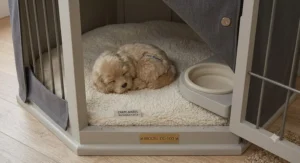A warm, ambient-lit bedroom scene showing a dog sleeping soundly in a cosy crate positioned beside the bed.