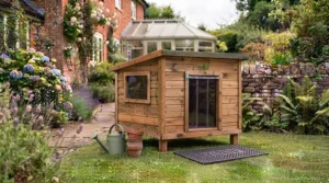 A large Golden Retriever standing next to a timber raised kennel, illustrating the scale and generous proportions of the outdoor shelter.