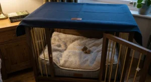 A view of a wire-style dog crate for night time, highlighting excellent airflow and visibility for pet safety.