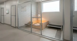 An indoor single isolation kennel used by UK breeders for safe whelping and post-operative dog care.
