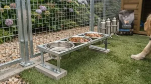 Raised feeding bowls and secure water stations inside a multi-dog outdoor run.