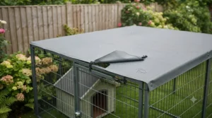 A secure outdoor dog run fitted with a waterproof canopy roof protecting pets from rain and sun.