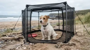 A lightweight portable dog run placed on sandy dunes during a coastal day out